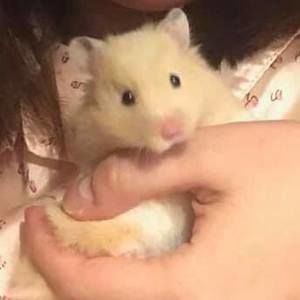 Meet your Posher, Janice